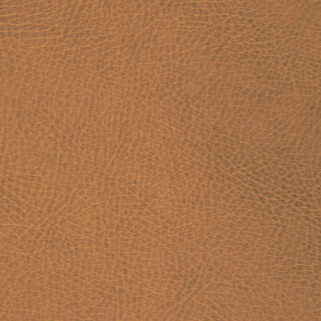 ENGLISH TAN